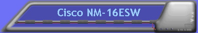Cisco NM-16ESW