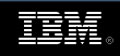 ibm-logo02