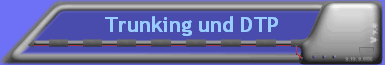 Trunking und DTP
